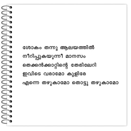 Picture of the product