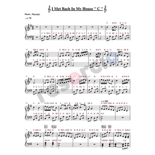 Picture of the product