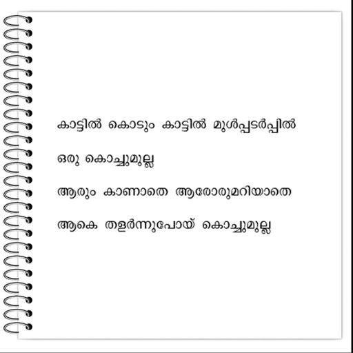 Picture of the product