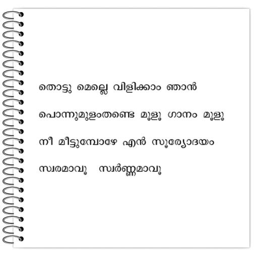 Picture of the product