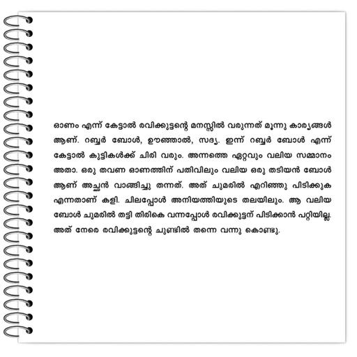 Picture of the product