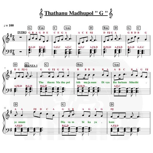 Picture of the product