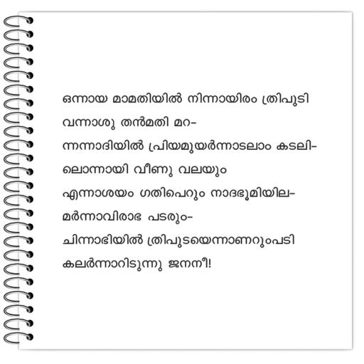 Picture of the product