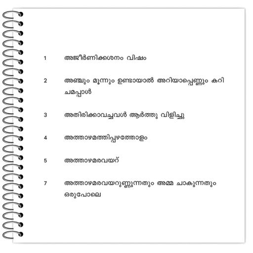 Picture of the product