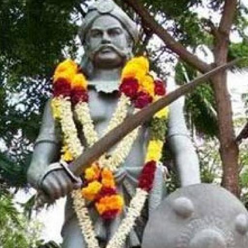 Picture of the product