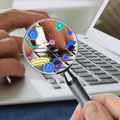 Picture of the product