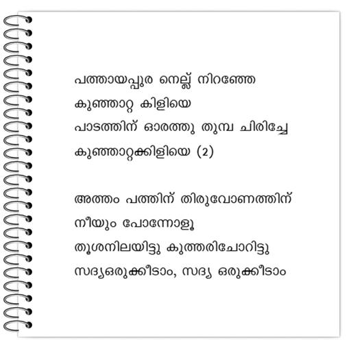 Picture of the product