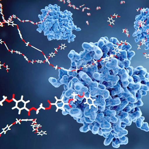 Picture of the product