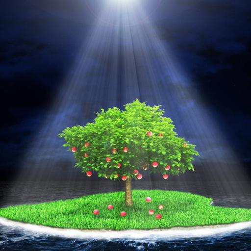 Picture of the product