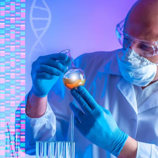 Picture of the product