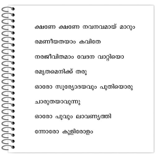 Picture of the product