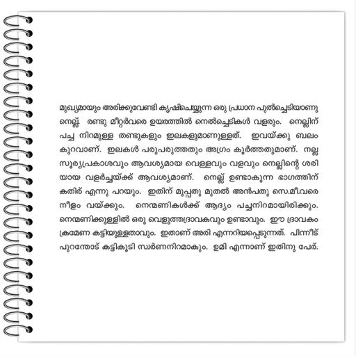 Picture of the product