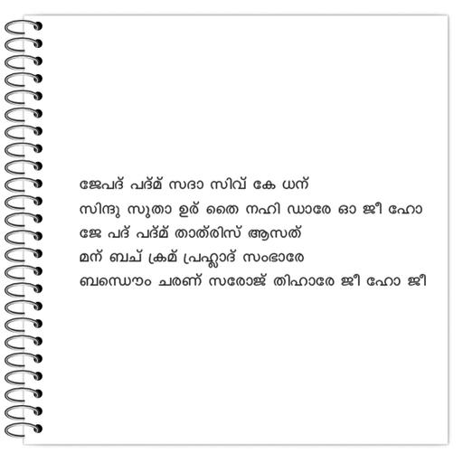 Picture of the product