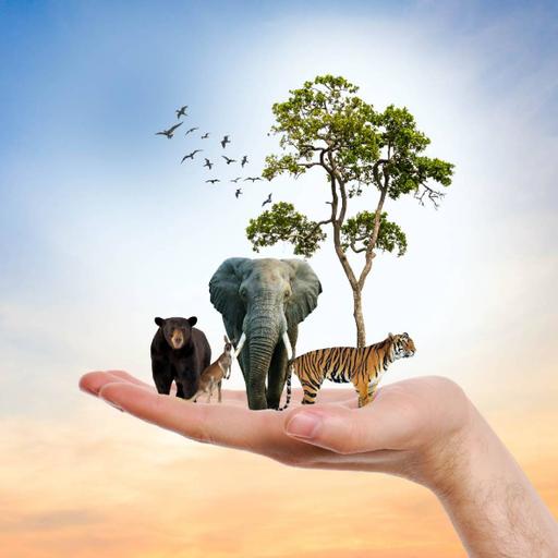 Picture of the product