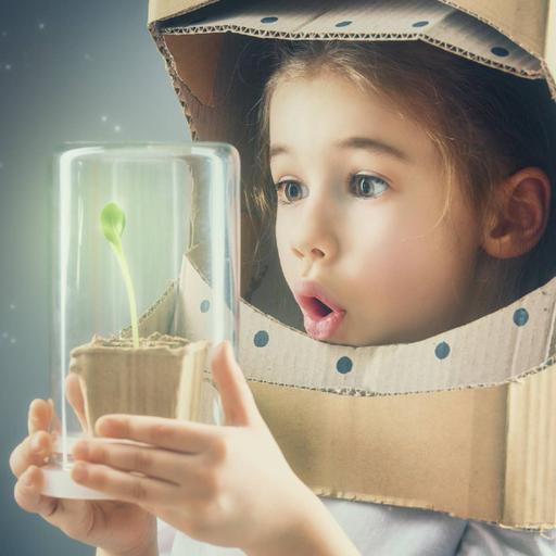 Picture of the product