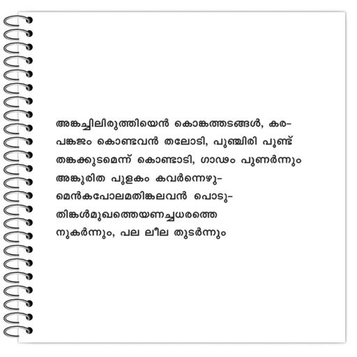 Picture of the product