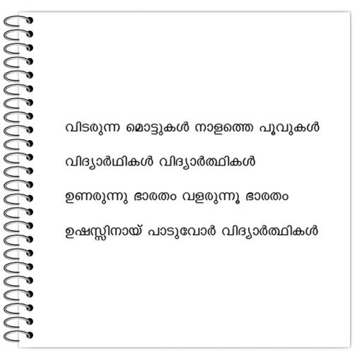 Picture of the product