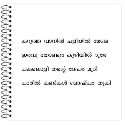 Picture of the product