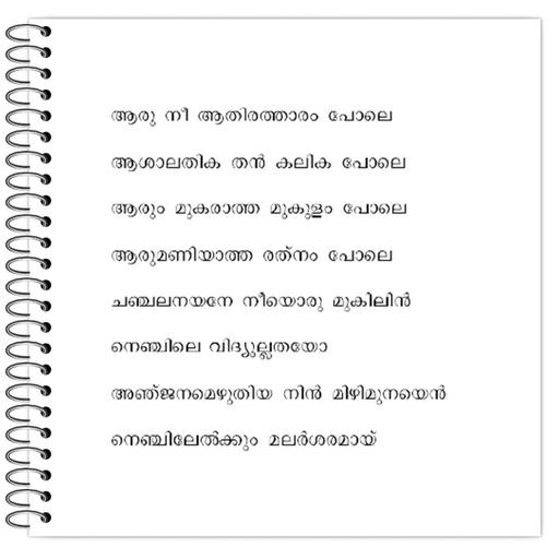 Picture of the product