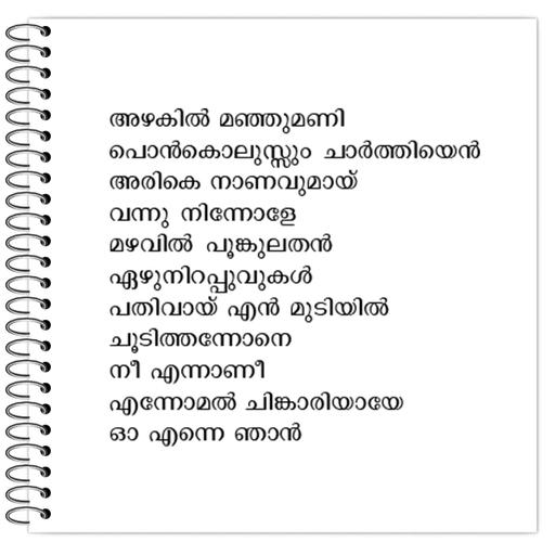 Picture of the product