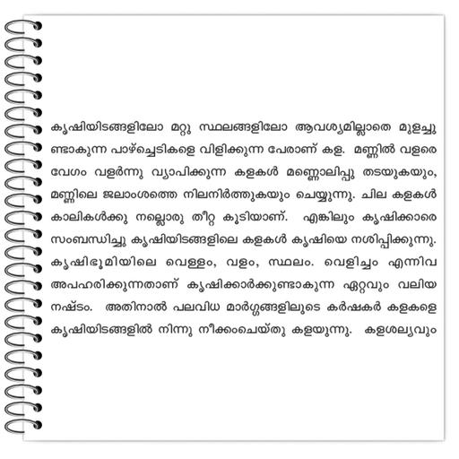 Picture of the product