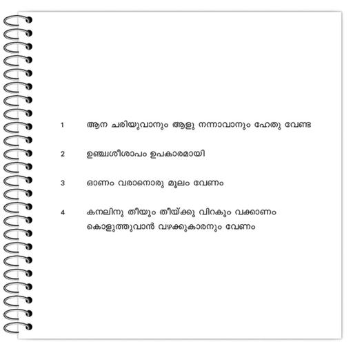 Picture of the product