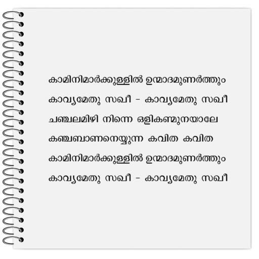 Picture of the product