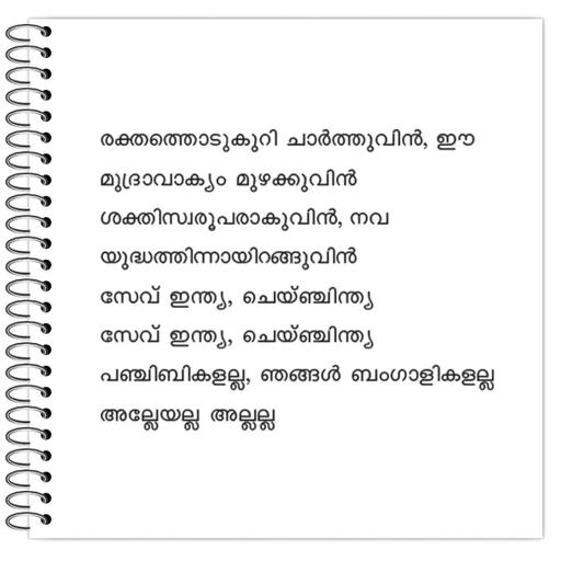 Picture of the product