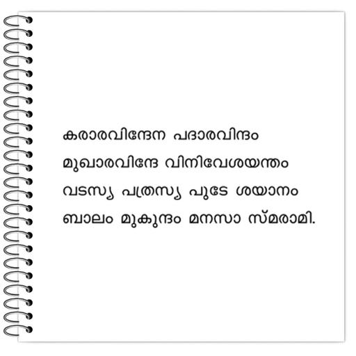 Picture of the product