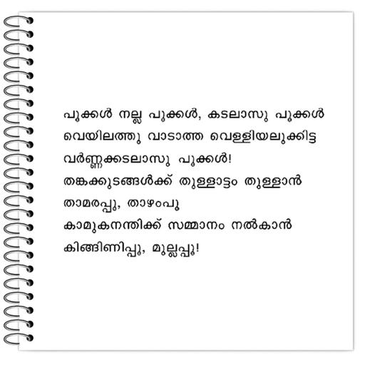 Picture of the product