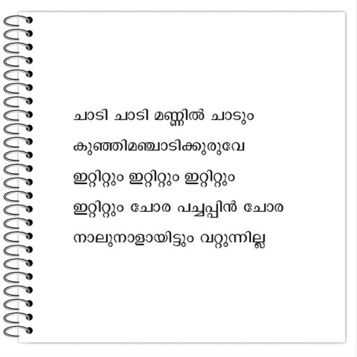 Picture of the product