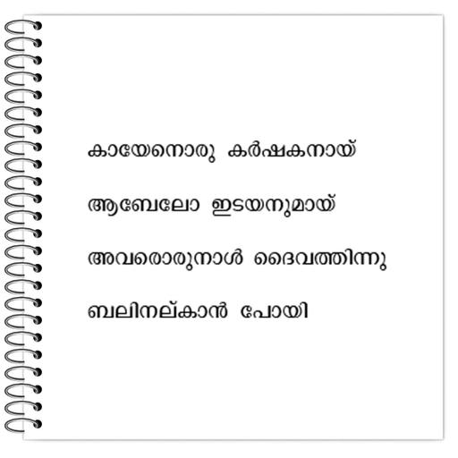 Picture of the product