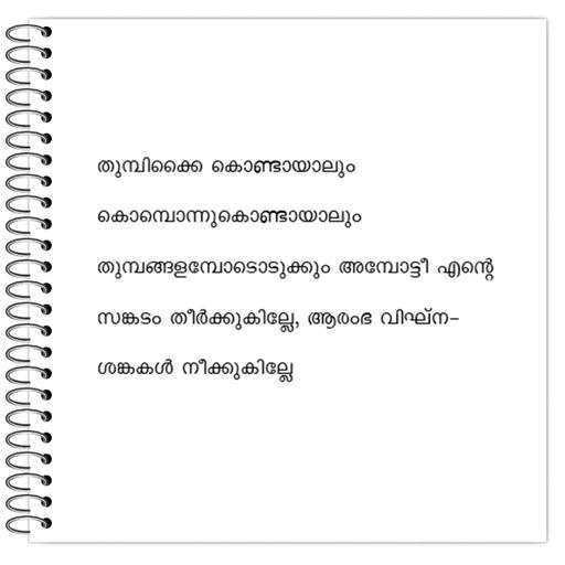 Picture of the product