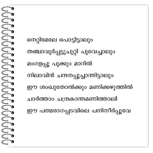 Picture of the product