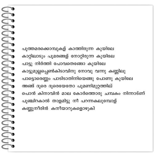 Picture of the product