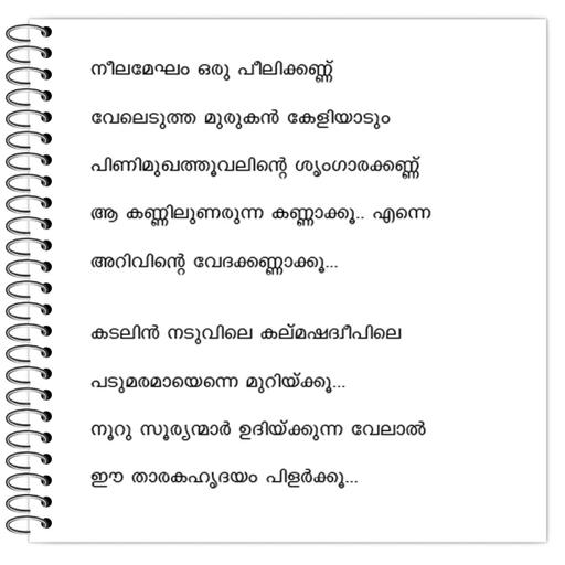 Picture of the product