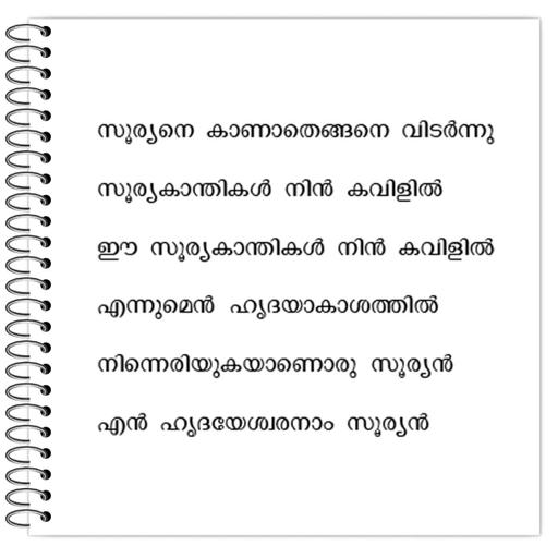 Picture of the product