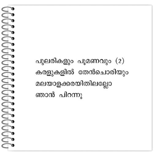 Picture of the product