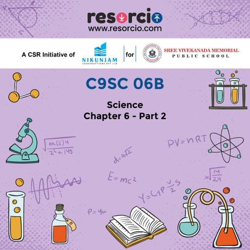 Picture of the product