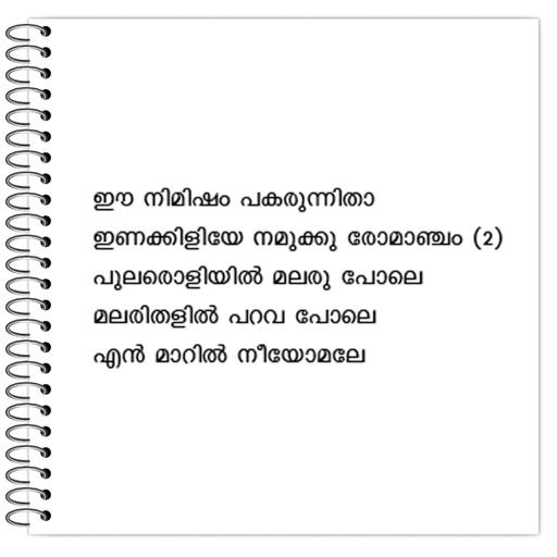 Picture of the product