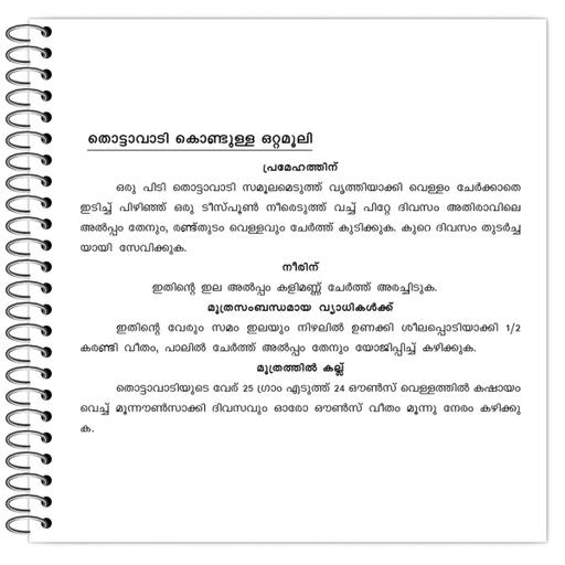 Picture of the product