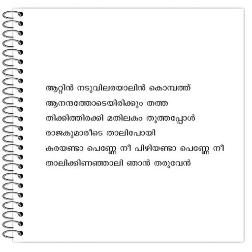 Picture of the product