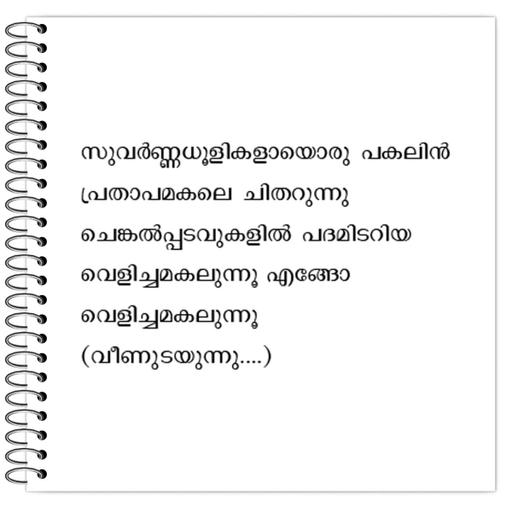 Picture of the product