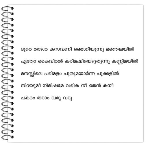 Picture of the product