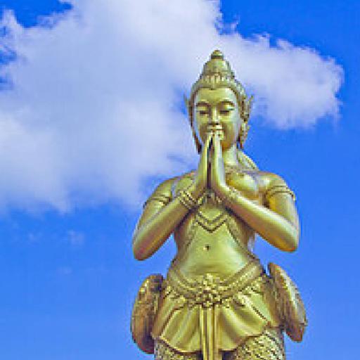 Picture of the product