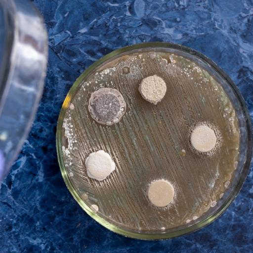 Picture of the product