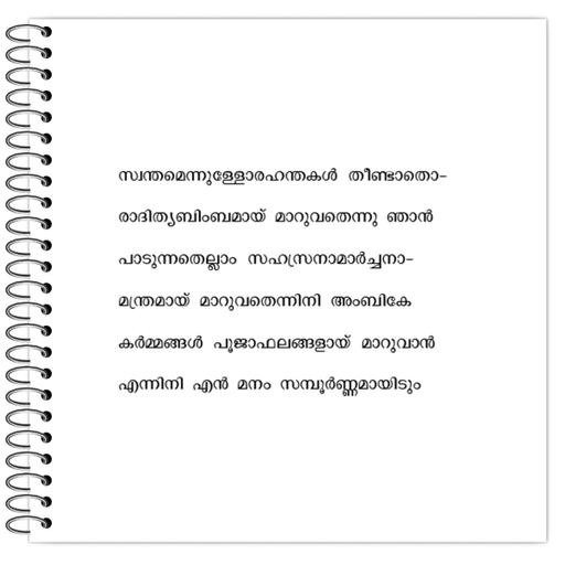 Picture of the product