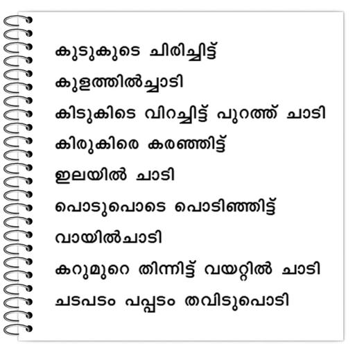 Picture of the product