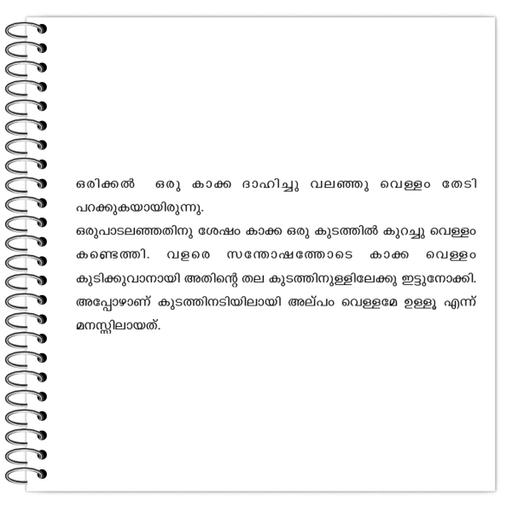 Picture of the product