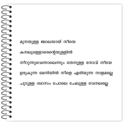 Picture of the product